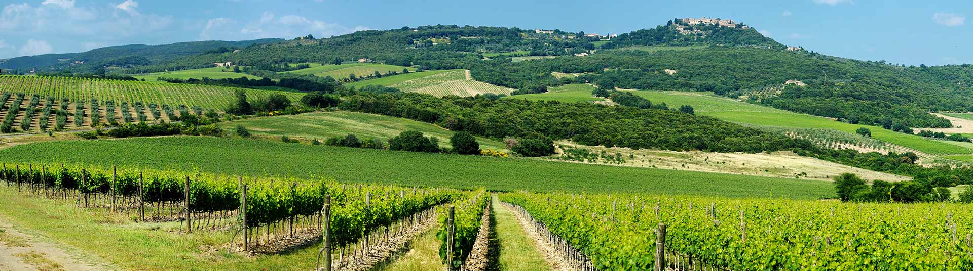 La Bourgogne terres de vignoble
